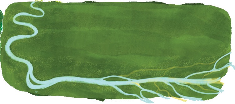 Image shows the Amazon river flowing through woods, and going and meeting in to the Atlantic Ocean.