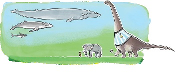 Image shows an adult blue whale, a newly born blue whale, a dinosaur wearing an Argentina's jacket and playing Football, an elephant, and a man.